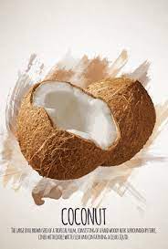 fruities kokosnoot van sharon harthoorn op canvas behang en meer in 2021 kokosnoot behang canvas