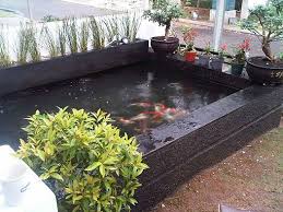 Oleh sebab itu di artikel kali ini kita akan membahas tentang cara membuat filter di kolam koi. 43 Ide Kolam Koi Kolam Ikan Koi Kolam Ikan Kolam