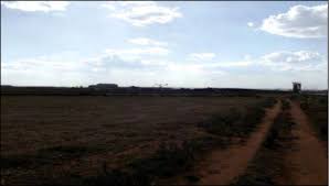 Image result for Ascolepis erythrocephala