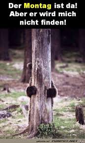 Der Montag Jpg Funny Pictures Monday Humor Quotes Monday Humor