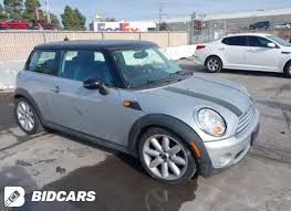Image result for Pure Silver 2009 Mini