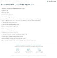 How many teeth does a human have? Nocturnal Animals Quiz Worksheet For Kids Study Com