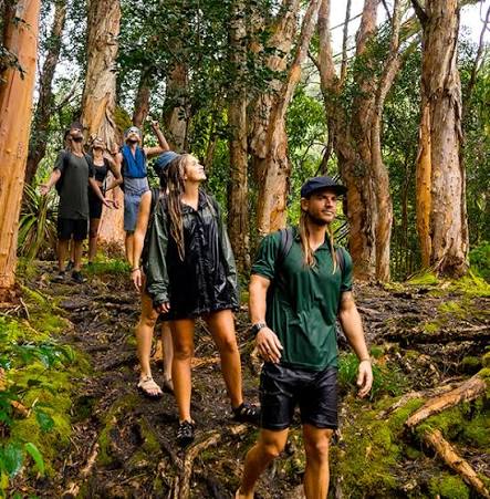 Guides | Hike Maui