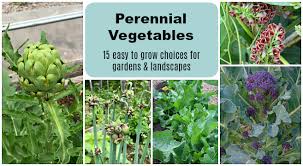 This encourages the plant to produce more blooms; Perennial Vegetables 15 Easy To Grow Choices For The Garden