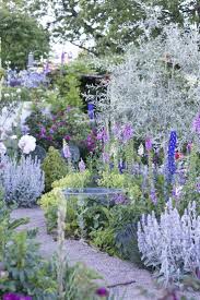 Pin Pa Wilder Garten Wild Wuchernd Naturlich