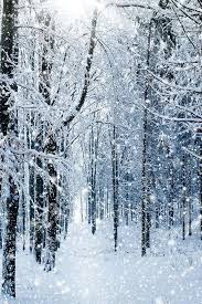 Winter Forest Wallpaper Iphone Wallpaper Winter Winter Wonderland Wallpaper Winter Wallpaper These 403 forest iphone wallpapers are free to download for your iphone. winter forest wallpaper iphone