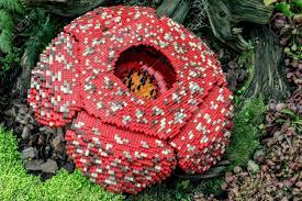 Rafflesia was named after lady raffles, who was present during the explorations, while arnoldii is named for british botanist who was have thought to have discovered. Corpse Flower Is Made Of Interlocking Plastic Bricks Toy Rafflesia Stock Photo Picture And Royalty Free Image Image 88858313