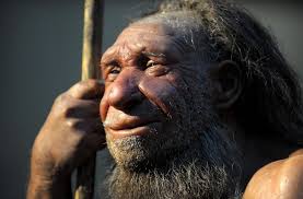 Vielleicht war es damals dem klimawandel nicht suchergebnisse. Speisekarte Der Fruhmenschen Mammut Braten Nach Neandertaler Rezept Wissen Stuttgarter Zeitung