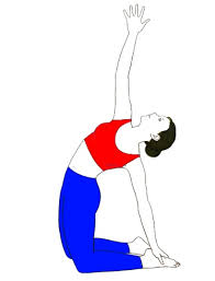 Ustrasana (camel pose) tones and gives flexibility and strength to the sacral nerves and all the spinal muscles. Parivrtta Ustrasana Revolved Camel Pose Sarvyoga Yoga