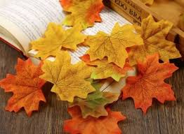 Bioma hutan gugur akan menerima curah hujan yang sangat melimpah, biasanya antara 20 dan 60 inci per tahun. Daun Maple Filosofi Keharmonisan Dan Kesetiaan Indonesian Post