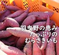 【お菓子やパンにすぐ使える】冷凍紫芋ペースト　約4kg | 完熟いちじく、旬野菜のハッピーファーム公式オンラインショップ powered by BASE