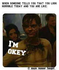 Totally Okey Maze Runner Funny Funny Memes Super Funny Memes
