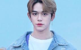 With the exception of tsui lam estate, king ming court and hong sing garden, all the public housing and hos estates in tseung kwan o are built on the reclaimed land of junk bay. Wong Yukhei The 100 Most Attractive Asian Celebs 2021 Close September 30