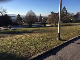 Nicht ohne grund ist das telefonbuch die nummer 1, wenn es um telefonnummern und adressen geht. Okologische Umgestaltung Und Aufwertung Des Stadtwingerts Grune Wiesloch