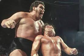 Image result for andre the giant