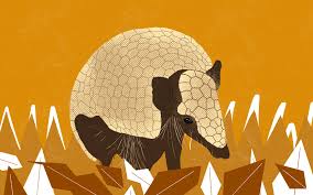 Tatu-bola – ZOO🦃 Explore a emoção das apostas com o número da abelha no  jogo do bicho