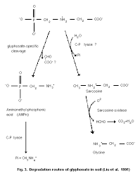 Glyphosate Ehc 159 1994