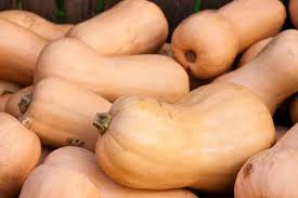 Check spelling or type a new query. The Truth About Squash For Dogs Ultimate Home Life