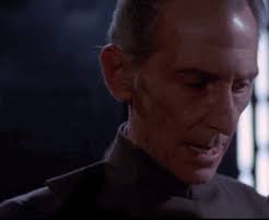 𝘼𝙪𝙧𝙤𝙧𝙖|𝙇𝙪𝙠𝙚 𝙎𝙠𝙮𝙬𝙖𝙡𝙠𝙚𝙧