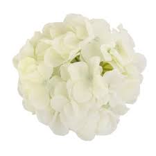 We will contact you if modifications or. Amazon Com Tinksky Hydrangea Flowers For Home Wedding Decoration White 20pcs Of Pack Home Kitchen