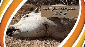 الجنس والدين المثلية الجنسية في الأديان ال جي بي تي معارضة إل جي بي تي صورة نمطية عن إل جي بي تي شعارات ضد المثلية تاريخ تصنيف المثلية في الدليل التشخيصي والإحصائي مراجع ↑ أ ب ت ث ج ح خ sexual orientation, homosexuality, and bisexuality. Ù‡Ù„ ØªØ¹Ù„Ù… Ù…Ø§Ù‡Ùˆ ØªÙØ³ÙŠØ± Ø­Ù„Ù… Ø§Ù„Ø¨Ù‚Ø± Ø§Ù„Ù…ÙŠØª ÙÙ‰ Ø§Ù„Ù…Ù†Ø§Ù… Ø³ØªØ¯Ù‡Ø´ Ø¹Ù†Ø¯Ù…Ø§ ØªØ³Ù…Ø¹ Youtube