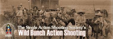 Image result for 45 acp wild bunch