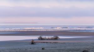 Things To Do At Kalaloch And Ruby Beach Olympic National Park