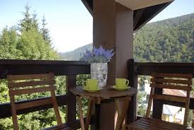 Domenii de activitate ale colt de rai, vila. Vila Colt De Rai Sinaia Contact Direct
