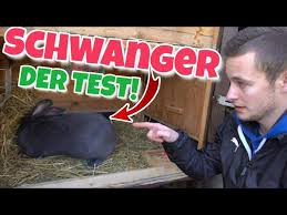 Diese frage haben sich zumindest schon einige frauen gestellt, die einmal schwanger waren. Der Richtige Test So Verhalt Sich Eine Schwangere Hasin Schustrich S 2 0 Youtube