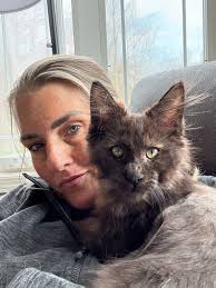 My name is Hypno. I am a 3 year old purebred GSD. I just arrived at my  rescue and am looking for a family of my own. I am a nice sized