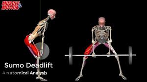 Muscle And Motion The Sumo Deadlift Facebook