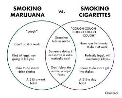 Pin On Weed