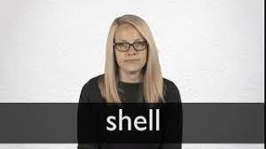 See more of shell out on facebook. Shell Definicion Y Significado Diccionario Ingles Collins
