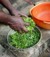 How to cook bitter leaf soup with snail. Steps And Guide To Cooking Bitter Leaf Soup Steemit