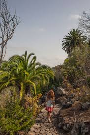 Hospital universitario de gran canaria doctor negrín. Gran Canaria Tipps Botanischer Garten Butterflyfish