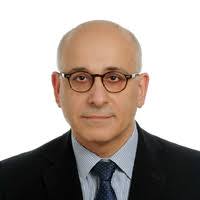 PDF) BRICS Contingent Reserve Arrangement: A Legal and Institutional Study 