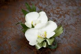 Grand rapids press obituaries and death notices for grand rapids michigan area. Grand Rapids Mi Florist Daylily Floral