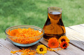 Global United States European Union And China Calendula Officinalis Flower Extract Market Research Report 2019 2025 24 Market Reports Calendula Oil Calendula Calendula Benefits