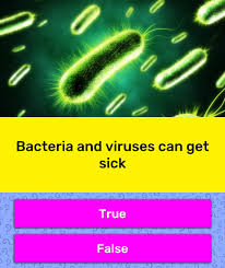 Only true fans will be able to answer all 50 halloween trivia questions correctly. Bacteria And Viruses Can Get Sick Trivia Questions Quizzclub
