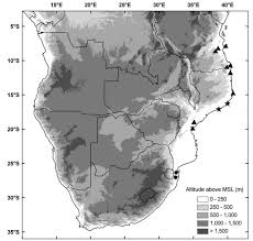 Image result for Warneckea sousae