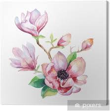 Are you looking for watercolor flower design images templates psd or png vectors files? Painting Magnolia Flower Wallpaper Hand Drawn Watercolor Floral Canvas Print Pixers We Live To Change