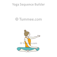 Other hip stretches and poses. Revolved Butterfly Pose Hand Variation Yoga Parivrtta Baddha Konasana Hand Variation Yoga Sequences Benefits Variations And Sanskrit Pronunciation Tummee Com