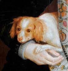 Under These Restless Skies: Anne Boleyn's Pets