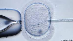 See more of international surrogacy center on facebook. German Woman To Adopt Own Child After Using Surrogate Mother News Dw 23 04 2019