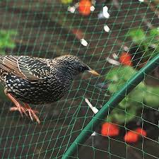 Anti Bird Netting For Garden Bird Netting Installation Services In Bangalore And Mumbai Hicare Specializes In Anti Bird Netting Services By Trained Experts We Off Bird Netting Flower Trellis Garden Structures
