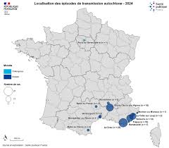 Chikungunya, dengue et zika - Données de la surveillance renforcée en France  hexagonale 2024