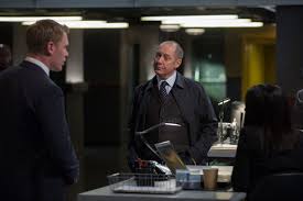 La, when she was cast as the female lead opposite. The Blacklist Recap Now It Begins