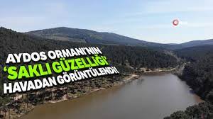 Bu yüzden oldukça rahat bir şekilde içeriye giriş çıkışlar yapabilirsiniz. Aydos Ormani Nin Sakli Guzelligi Olan Gol Havadan Goruntulendi Youtube