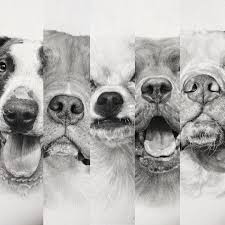 How sharp are your eyes? Hyper Realistic Animal Pencil Drawings By Helen Violet