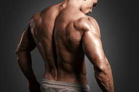 It affects up to 80% of americans at some pain. Muscled Male Model Showing His Back Male Pose Reference Anatomy Reference Body Anatomy